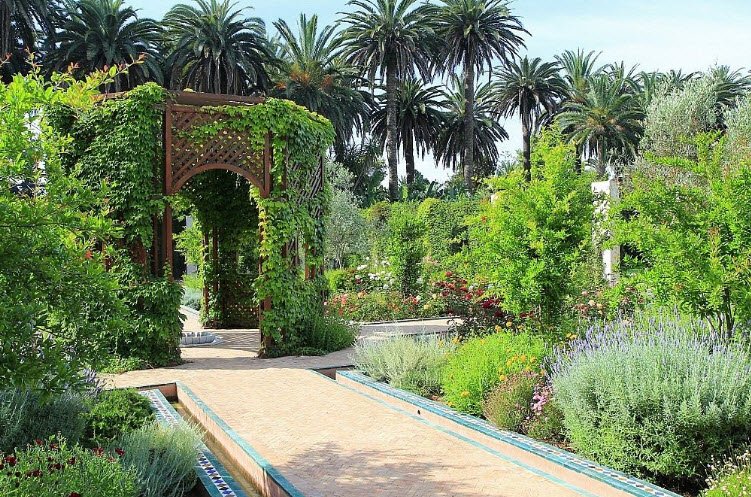 Botanical Garden, Morocco